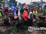 Sebuah-pohon-tumbang-menutup-jalan-nasional-Trenggalek-Ponorogo.jpg