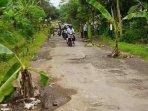 Sejumlah-ruas-jalan-rusak-di-Klakah-Lumajang-ditanami-pisang-oleh-warga.jpg