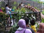 Sopir-Bus-Syok-Bayar-ParkirRp-150-Ribu-di-Kebun-Binatang-Pengelola-Kesal-Tak-Beres-beres-Tertibkan.jpg