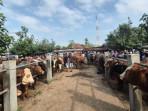 Suasana-Pasar-Hewan-di-Jalan-Raya-Ponorogo-Trenggalek-Kecamatan-Jetis.jpg