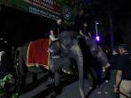 Surabaya-Night-Zoo-akan-mulai-dibuka-awal-Juni.jpg