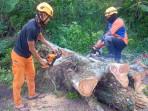 TRC-BPBD-gotong-royong-dengan-warga-melakuman-pembesihan-pohon.jpg