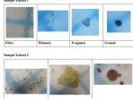 Temuan-mikroplastik-di-Pantai-Gerangan-Tulungagung-dari-sampel-air-laut-yang-diambil-Ecoton.jpg