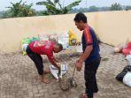Tim-Damkar-Satpol-PP-Kabupaten-Tuban-saat-mengevakuasi-ular-piton.jpg