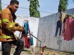 Tim-Satpol-PP-dan-Damkar-Tuban-saat-mengevakuasi-sejumlah-ular-Kobra.jpg