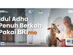 Tunaikan-Kurban-Sekarang-Semudah-Belanja-Online-Pakai-BRImo.jpg