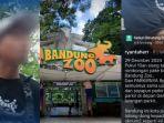Viral-cerita-sopir-bus-ditagih-parkir-di-Bandung-Zoo-sebesar-Rp-150-ribu.jpg