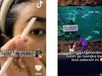 Viral-wanita-berani-melamar-kekasihnya-untuk-menikah-di-Seaworld.jpg