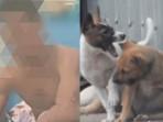 Warga-Sembelih-Anjing-Rabies-yang-Gigit-Pemiliknya-hingga-Tewas-Lalu-Makan-Dagingnya-Ramai-ramai.jpg
