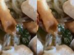 Warga-Temukan-Ulat-Bergerak-di-Bakso-Menu-MBG-Ketua-Satgas-Sudah-Peringatkan-Tak-Viralkan.jpg