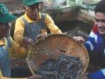 Warga-bersama-perwakilan-perusahaan-KPI-Unit-Dumai-memperlihatkan-hasil-panen-ikan-lele.jpg