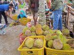 Wisata-Kampung-Durian-Desa-Pakis-Kecamatan-Panti-Jember.jpg