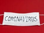 ahli-temukan-plasma-darah-pasien-virus-corona-yang-sembuh-bisa-jadi-obat-masih-dalam-pengujian.jpg