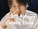 arti-kata-Chindo-732023.jpg