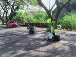 ban-bekas-dan-pohon-pisang-yang-dipasang-di-tengah-jalan-raya-di-desa-mukuh.jpg