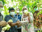 Dimentori Bos BUMN hingga Akademisi, Ribuan Anak Muda Banyuwangi Daftar “Jagoan Tani”