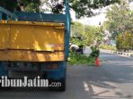 berita-surabaya-pemotongan-ranting-pohon-jalan-gunungsari_20171020_100215.jpg