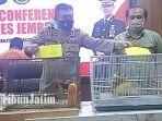 burung-cendrawasih.jpg