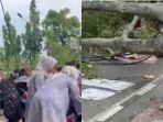 fakta-fakta-pohon-timpa-jemaah-salat-idul-fitri-di-Pemalang.jpg