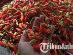 harga-cabai-rawit-merah-di-kota-madiun-mencapai-rp-100-ribu-per-kilogram-ilustrasi-harga-cabai.jpg