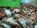 harga-rajungan-tidak-lagi-bisa-diharapkan-oleh-nelayan-lamongan.jpg