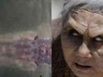 ikan-raksasa-di-Ranu-Pakis-pemeran-Mbah-Dok.jpg
