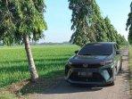 ilustrasi-Daihatsu-Xenia-saat-dipakai-keliling-trans-Jawa.jpg