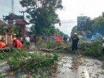 ilustrasi-POHON-TUMBANG-Petugas-melakukan-pembersihan-pohon-tumbang-di-Jalan-Mastrip-Blitar.jpg