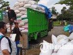 Petani Trenggalek Semringah, Bulog Serap Gabah Kering Basah Rp 6.500 per Kilogram
