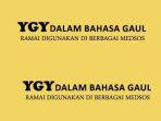 ilustrasi-arti-kata-ygy.jpg