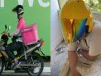 ilustrasi-driver-ojol-nyaris-lumpuh-demi-penghasilan-Rp26-juta-per-bulan.jpg