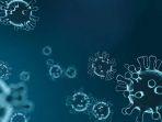 ilustrasi-florona-yang-merupakan-penyakit-campuran-virus-corona-covid-19-dan-infeksi-flu.jpg