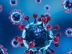 ilustrasi-gambar-virus-corona.jpg