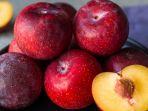 ilustrasi-manfaat-buah-plum-untuk-kesehatan.jpg
