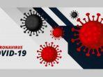ilustrasi-perkembangan-kasus-virus-corona-dari-hari-kehari-selama-maret-2020.jpg