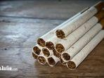 ilustrasi-rokok-olahan-tembakau.jpg