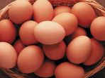ilustrasi-telur-ayam_20180317_140017.jpg