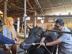 inspeksi-kesehatan-hewan-kurban-yang-dilakukan-Dispangtan-Kota-Malang-pada-Idul-Adha.jpg