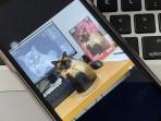 isi-prompt-Gemini-AI-foto-miniatur-yang-viral-di-TikTok-dan-Instagram.jpg