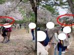 jatim/kelakuan-turis-Indonesia-rontokkan-bunga-sakura-jadi-sorotan-netizen-luar-negeri.jpg