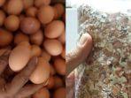 kisah-penjual-cangkang-telur.jpg