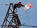 Jaga Kontinuitas Penyaluran Listrik, PLN Lakukan Urak-urak Layangan di Madura