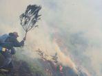 lembah-di-kawasan-tnbts-mengalami-terbakar.jpg