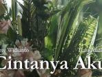 lirik-lagu-romantis-cintanya-aku-yang-dinyanyikan-oleh-tiara-andini-feat-arsy-widianto.jpg
