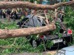 mobil-dan-empat-motor-tertimpa-pohon-di-sebelah-Alun-alun-Sidoarjo-2025.jpg