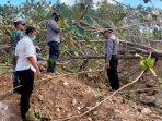 pekerja-pemecah-batu-di-Tulungagung-tewas-tertimpa-pohon-jati-saat-sedang-bekerja.jpg
