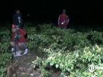 petani-cabai-kabupaten-tuban.jpg