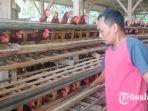 peternak-ayam-petelur-asal-kelurahan-wonokoyo-kota-malang.jpg