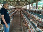 peternakan-ayam-petelur-milik-hardi-di-kecamatan-mantup-lamongan.jpg