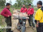 Pencuri Kayu Mahoni di Blitar Nyebur ke Sungai saat Dipergoki Polisi, Langsung Menghilang di Tegalan